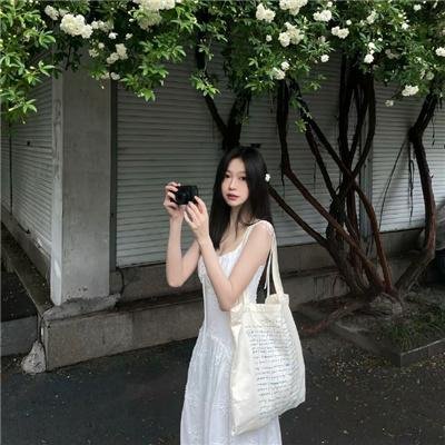森林之歌